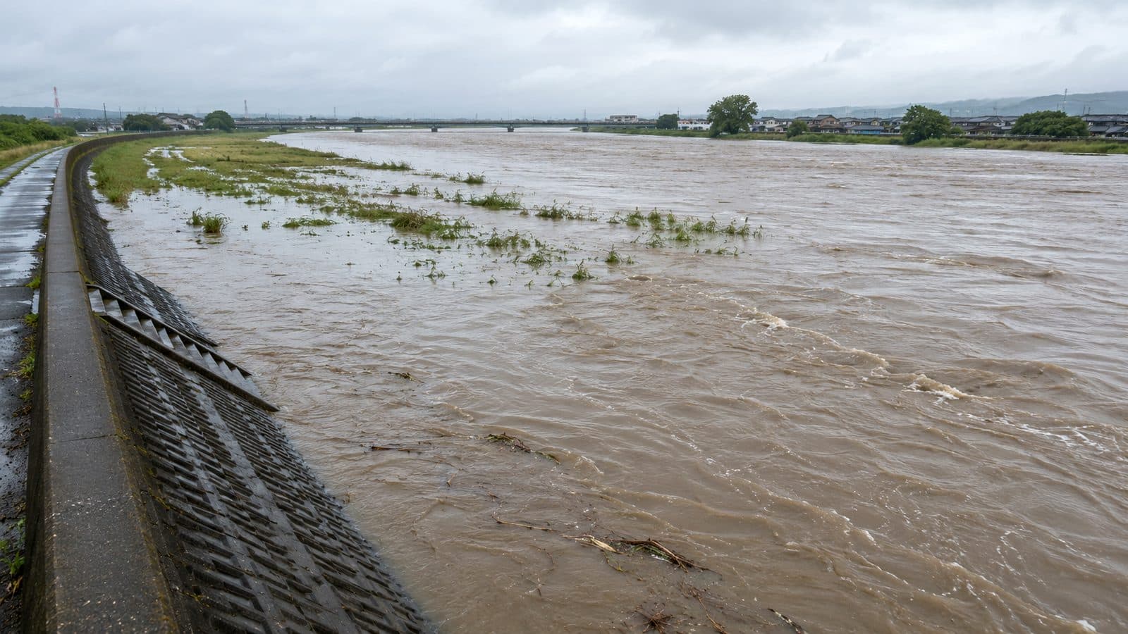 雨のあと水位が上がり、高水敷まで水に浸かった河川と堤防のイメージ